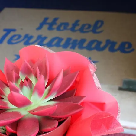 Hotel Terramare Lido di Jesolo